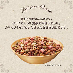 グラン・デリ ふっくら仕立て 低脂肪 鶏ささみ・ビーフ・緑黄色野菜・小魚・チーズ・角切りビーフ粒入り 1.7kg×2袋