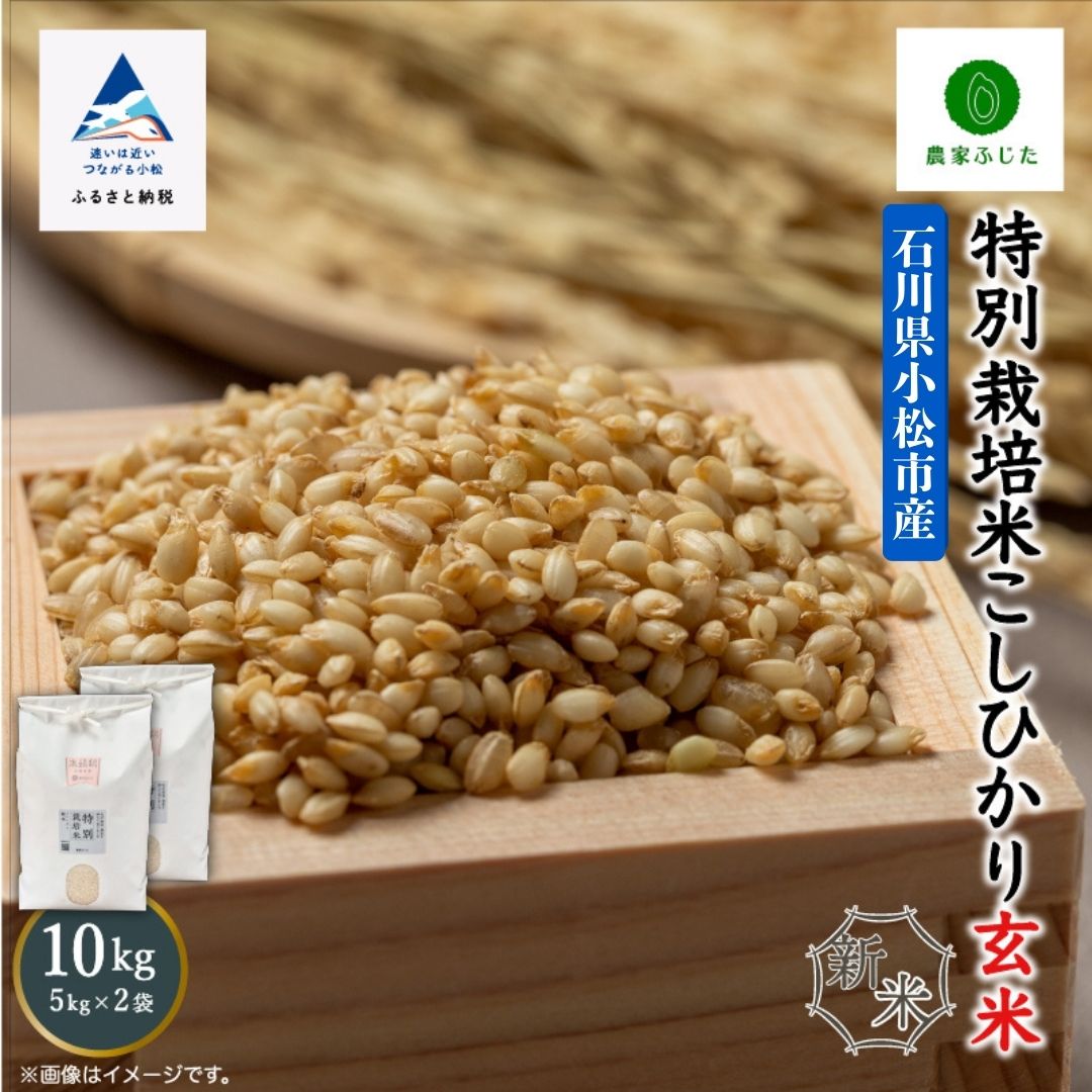【ふるさと納税】 農家ふじた 特別栽培米 こしひかり 玄米 10kg(5kg×2袋) 令和7年産 米 コメ お米 県産米 国産米 5キロ 小松市 こまつ 石川県 022029【農家ふじた】