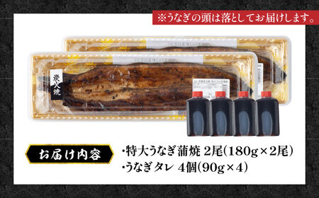 国産 本格炭火焼 特大 うなぎ 蒲焼 2尾（180g×2尾）/炭火焼古賀[UDH039]