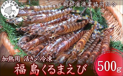 
                  加熱用 活き〆冷凍福島くるまえび500g( 車エビ クルマエビ くるまえび えび エビ 海老 加熱用 )【B1-192】
                