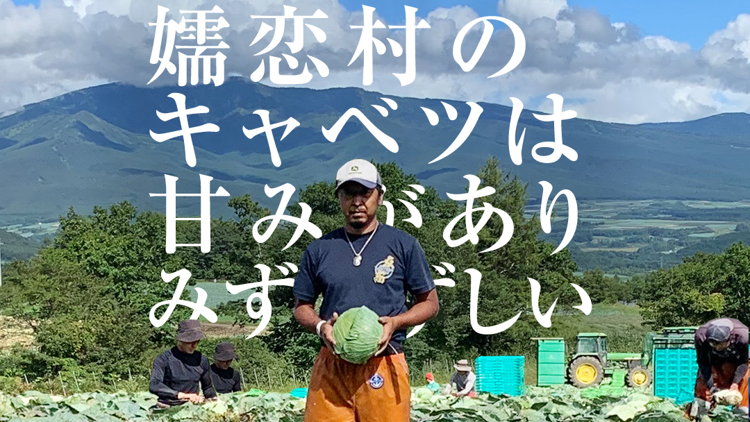 【7月中旬発送開始】 嬬恋キャベツ  嬬恋産 高原キャベツ4玉1ケース 旬の野菜 きゃべつ 産地直送 群馬 お取り寄せ 野菜 セット Lサイズ ZIP! 先行予約 2026年発送 [AS002tu]