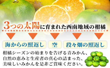 【先行予約】＜極早生みかん ご家庭用 約4kg＞ ご家庭用 果物 フルーツ みかん ミカン 蜜柑 オレンジ 柑橘 食べて応援 特産品 宇都宮物産 愛媛県 西予市 【常温】『2026年9月下旬～10月中
