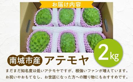 ＜先行受付＞【数量限定】南城市で育った森のアイスクリーム：アテモヤ（２kg箱詰め）