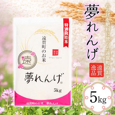 ふるさと納税 遠賀町 特別栽培米　夢れんげ　5kg