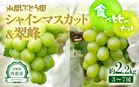2025年発送【先行予約】シャインマスカット・翠峰　約2.2kg　西都産完熟ぶどう味くらべセット　水間ぶどう園＜2-4＞