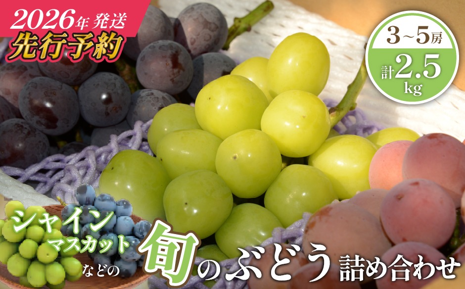 【先行予約/2026年発送】シャインマスカット等の旬のぶどう詰め合わせ 2.5kg（シャインマスカット ぶどう ブドウ 果物 セット 詰め合わせ フルーツ 2026 贈答用 限定）