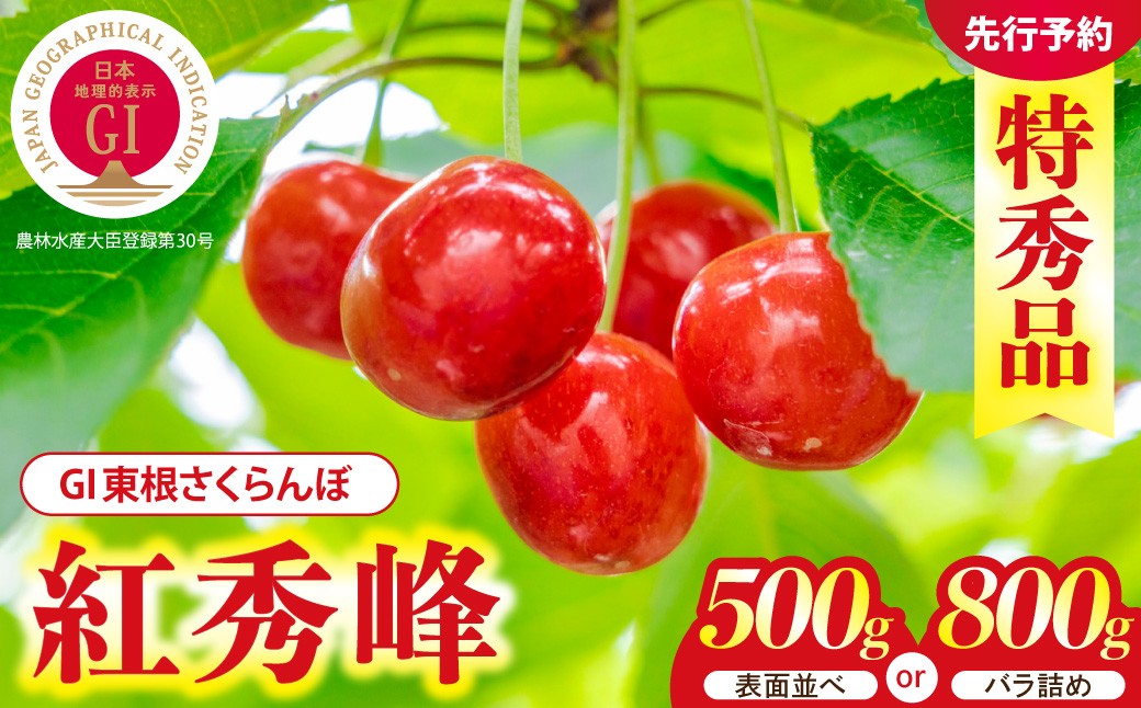 
                  ≪選べる内容量≫【2027年産】GI 東根さくらんぼ 紅秀峰 【500g 表面並べ/800g バラ詰め】 L以上 特秀品 山形県 東根市 ティスコファーム提供 hi089-008-r9-o サクランボ フルーツ 果物 くだもの 紅秀峰 期間限定 先行受付 化粧箱入り 冷蔵配送 グルメ ご当地 特産直送
                
