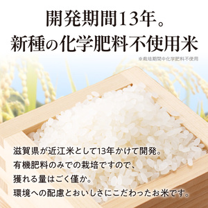 【令和8年度産】 先行予約 近江米『きらみずき』　化学肥料不使用米　5キロ×6回 偶数月お届け定期便（鮮度保持袋）