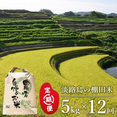 ふるさと納税 淡路市 【定期便】淡路島の棚田米 5kg×12回(毎月発送)　ae01067