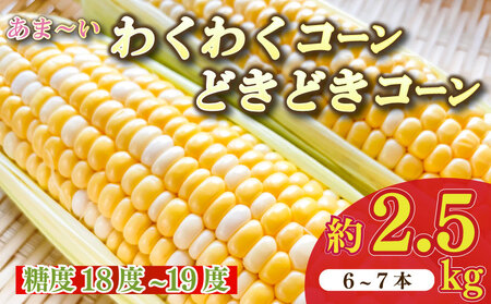 とうもろこし わくわくコーン どきどきコーン 6 ～ 7 本 約 2.5kg 糖度18 ~ 19度 甘い 美味しい おいしい 野菜 バーベキュー BBQ 産地直送 新鮮 生鮮 食品 静岡県 牧之原市 もろこしショップ ぐりぱ
