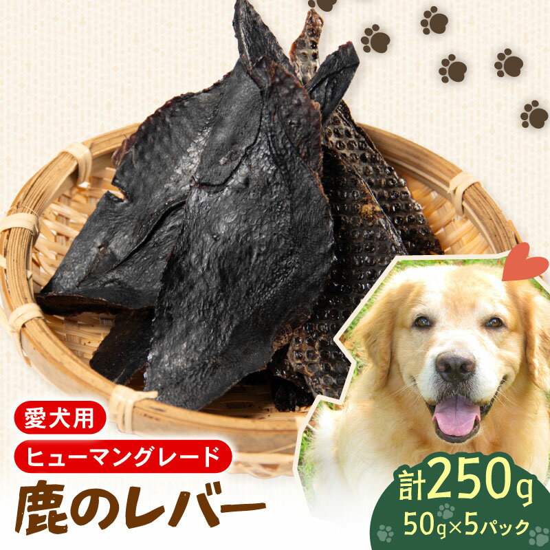 【ふるさと納税】 ペットフード シカ の レバー 50 g × 5 袋 セット ドックフード ペット 犬 いぬ イヌ わんちゃん ワンちゃん用 愛犬 小型犬 中型犬 大型犬 高タンパク 高たんぱく 低脂肪 低カロリー 鹿肉 動物 餌 エサ おやつ 乾物 ごはん ご褒美 滋賀県 日野町