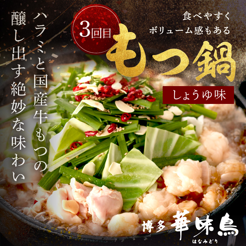 人気のもつ鍋＆水炊きお届け便【隔月定期便(計3回発送)】_イメージ4