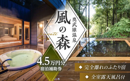 奥武雄温泉 風の森 宿泊補助券 45,000円分 温泉宿 [UEC002]