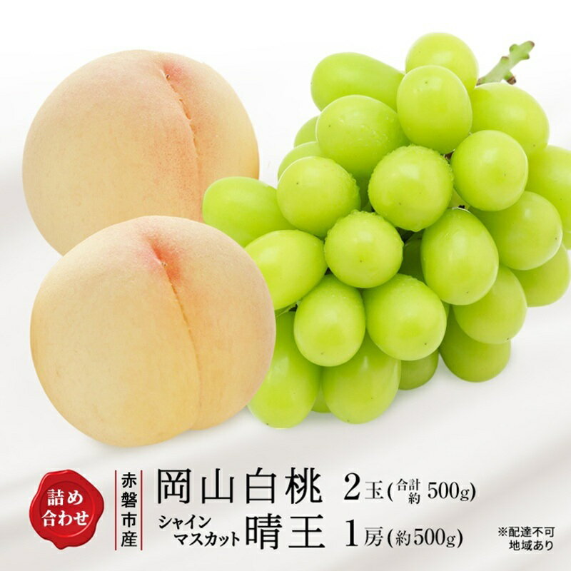 【ふるさと納税】桃 ぶどう 2026年 先行予約 岡山白桃 2玉 シャインマスカット 晴王 1房 詰め合わせ セット 岡山県 赤磐市産 果物 フルーツ 白桃 葡萄　お届け：2026年7月上旬～2026年8月下旬