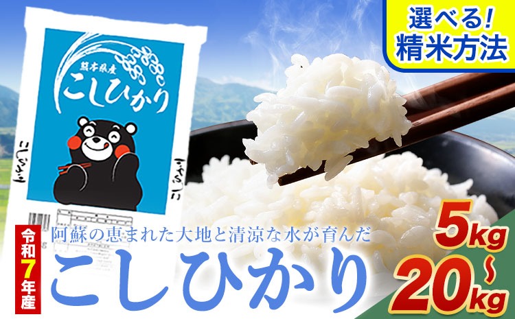 無洗米 も 選べる こしひかり 白米 or 無洗米 選べる精米方法 内容量 5kg 10kg 20kg 白米 精米 無洗米 熊本県産(南阿蘇村産含む) 単一原料米 南阿蘇村《7-14日以内に出荷予定(土日祝除く)》---mna_kh7_7e14e_8500_5kg_h---