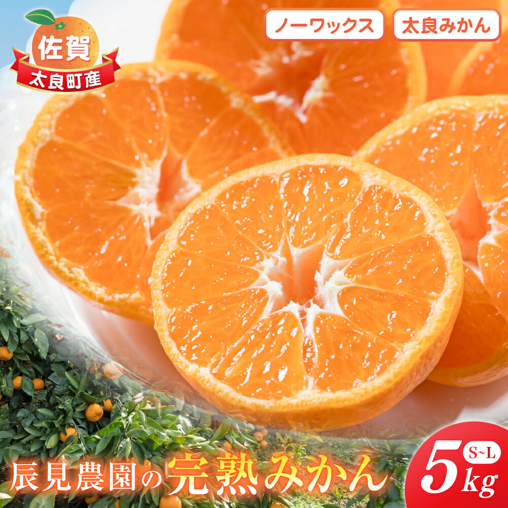 【ふるさと納税】【先行予約】辰見農園の完熟みかん 5kg | みかん ミカン 蜜柑 小玉 ふるさと納税 5kg 有明海 柑橘 甘い Sサイズ 完熟 果物 フルーツ 佐賀県 太良町 L90
