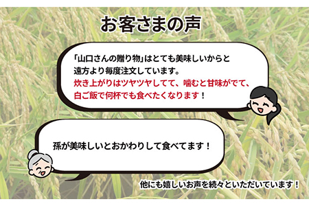 【先行予約】【令和6年産新米】特別栽培米 早場米 コシヒカリ 10kg ～山口さんちの贈り物～【y'scompany】 [IAS002]