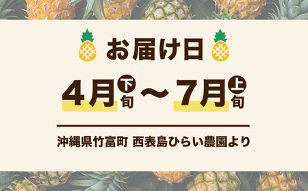 2024年 先行予約 定期便 週1 ピーチパイン 約18kg (約6kg(6～10玉)×3回配送) "いってＱ"でも紹介された 西表島ひらい農園 濃密