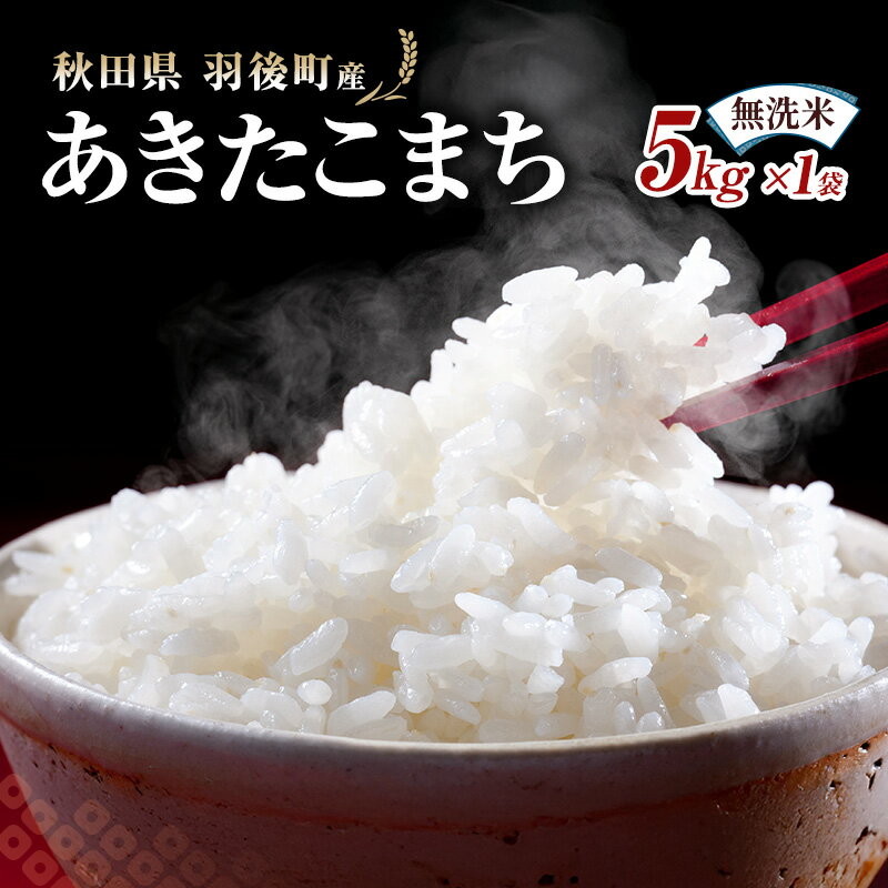 【ふるさと納税】秋田県 羽後町産 あきたこまち 無洗米 5kg×1袋 【 米 お米 白米 精米 アキタコマチ 美味しい 秋田 羽後 】