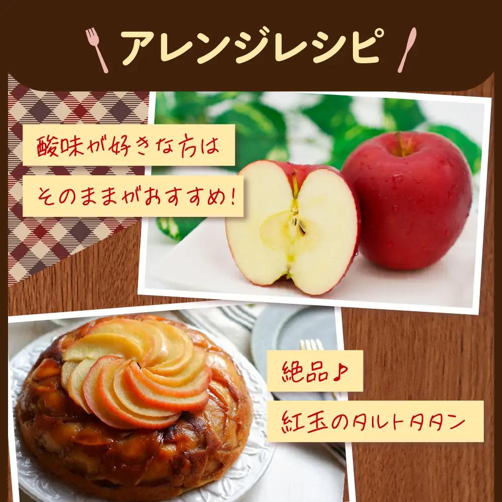 紅玉　訳あり りんご 約10kg 青森県産 りんご