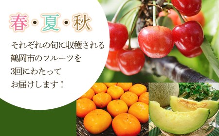 【令和8年産先行予約】 鶴岡から春夏秋のフルーツ定期便【3回お届け】山形県鶴岡産　株式会社 元青果