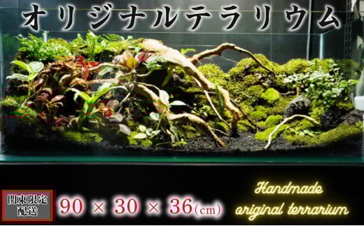 オリジナル テラリウム サイズ 90×30×36 手作り ハンドメイド 観賞用 自然 観葉植物 千葉県 銚子市 関東限定配送
