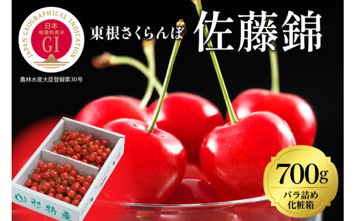 【2027年産】 GI 東根さくらんぼ「佐藤錦」700gバラ詰め(350g×2ﾊﾟｯｸ) 山形県 東根市 東根農産センター提供 hi027-217-r9 果物 フルーツ くだもの 東根さくらんぼ 露地 佐藤錦 期間限定 先行受付 令和9年産 産地直送