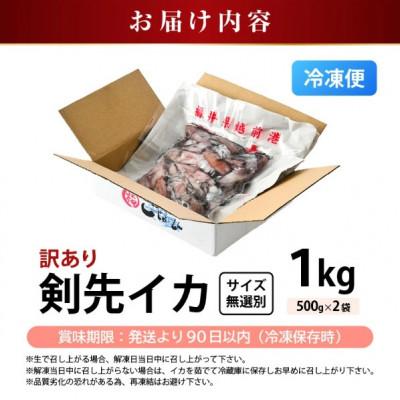 ふるさと納税 越前町 【急速冷凍】【訳あり】生いか 天然ケンサキイカ サイズ無選別 1kg(500g × 2袋) |  | 03