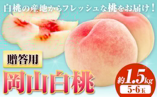 【令和8年度先行予約】贈答用 桃 内容量 1.5kg ハレノフルーツ （犬塚農園） 《2026年6月末-8月中旬頃出荷》岡山県 浅口市 フルーツ モモ 果物 青果 旬 おかやま夢白桃 白麗 白鳳 清水白桃 なつごころ 加納岩白桃【配送不可地域あり】（北海道・沖縄・離島）