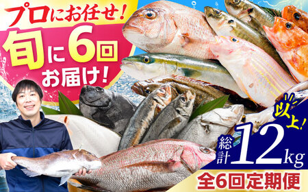 【定期便】全6回(隔月発送)【加福鮮魚】「若狭小浜港産地直送」旬の天然鮮魚お任せセット！地魚 下処理済み 刺身 煮魚 焼き魚 小浜市 / 加福鮮魚 【配送不可地域：北海道、北東北（秋田、青森、岩手）、九州、沖縄、離島】[BFBC016] 