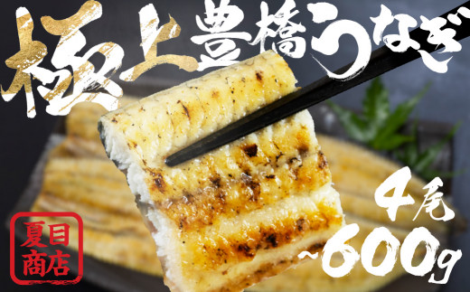 うなぎ 白焼 4尾 600g 豊橋うなぎ 夏目商店 国産 岩塩付き 年内お届け 極上 選べる お届け時期 鰻 ウナギ 国産うなぎ 年内発送 うなぎ 白焼 うなぎ 白焼 うなぎ 白焼 うなぎ 白焼 うなぎ 白焼 うなぎ 白焼 うなぎ 白焼 うなぎ 白焼 うなぎ 白焼 うなぎ 白焼 うなぎ 白焼 年内発送 年内発送 年内お届け 年内お届け うなぎ 4尾 うなぎ 4尾 年内発送 年内お届け 年内発送
