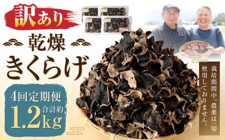 【訳あり】【4ヶ月定期便】 乾燥きくらげ 320g （80g×4パック） ×4回 合計1,280g 熊本県 乾燥 きくらげ キクラゲ 木耳 きのこ キノコ 国産 人吉市産