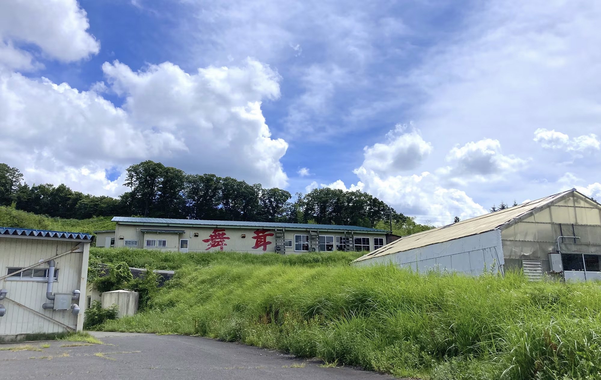 舞茸センターで作っています。