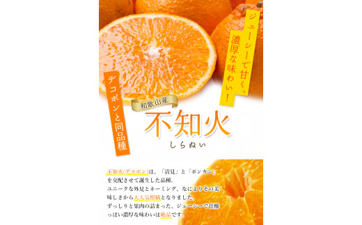 ＜先行予約＞家庭用 不知火 4kg+150g（傷み補償分）【デコポンと同品種・人気の春みかん】【訳あり】＜2月より発送＞ ※北海道・沖縄・離島への配送不可 フルーツ 果物 くだもの 柑橘 和歌山【ik