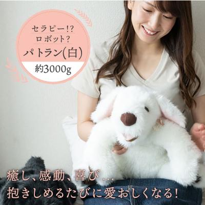 ふるさと納税 糸島市 パトランの白(通称:シロラン)糸島市/科学工房未來[AYI003]