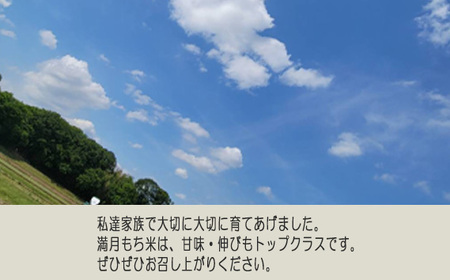 No.403 満月　もち米10kg【令和7年産】 ／ もち米 餅米 国産もち米 令和7年 新米 おこわ お餅 餅 モチ 赤飯 甘味 伸び 高品質 おいしい お取り寄せ 産地直送 産直 坂東市産 茨城県