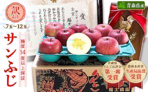 
                  ＜りんご品評会最高賞＞「サンふじ」約3kg・糖度14度以上保証・訳あり 家庭用 りんご_りんご 林檎 リンゴ サンふじ 果物 くだもの フルーツ 青森 りんご品評会 青森市長賞 訳あり 規格外 傷 不揃い おすすめ【1106865】
                