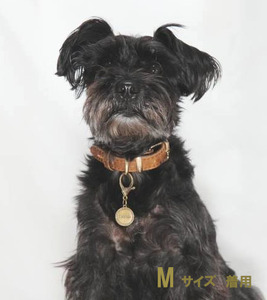 ｅｊブランド『　i-LACQ　』アイ・ラシク　ペット用アンティーク調　迷子札　ネームタグ　BLASS真鍮　Sサイズ ALPDL021