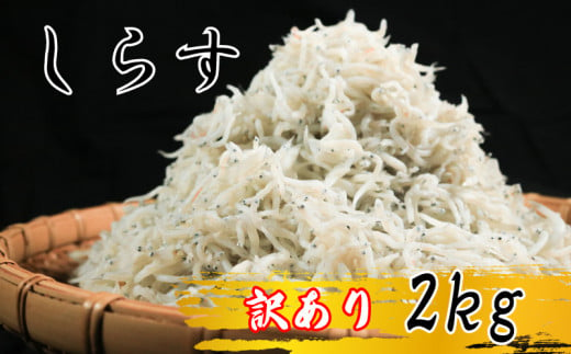 しらす 2kg ( 1kg × 2箱 ) 訳あり 冷凍 ちりめん かちり しらす干し 減塩 釜揚げ ごはん 丼 パスタ チャーハン サラダ 魚 料理 愛知県 南知多町 師崎