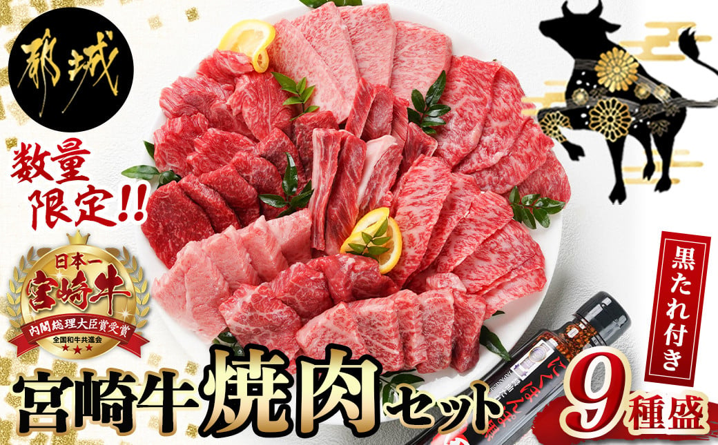 【数量限定】宮崎牛9種盛り焼肉セット - 宮崎牛 ラムシン/マルシン/イチボ/サーロイン/ザブトン/肩ロース/ショートリブ/カルビ/内モモ ギフト 贈答用