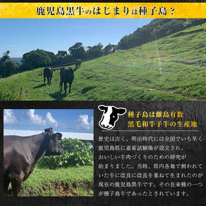 「自慢の逸品」種子島生まれ雌牛　切り落とし肉（200g×5パック） 