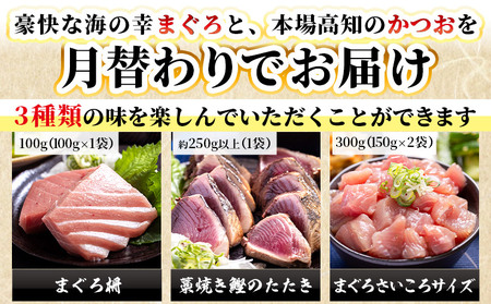 【3回定期便】〈月替わり〉かつお・まぐろ お楽しみセット 魚介 Wnz-0120