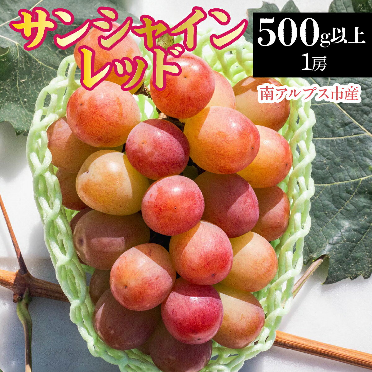 【ふるさと納税】 【2026年発送先行予約】 南アルプス市産　サンシャインレッド　500g以上（1房） ふるさと納税 葡萄 ぶどう 果物 フルーツ おすすめ 山梨県 南アルプス市 送料無料 ALPDD019