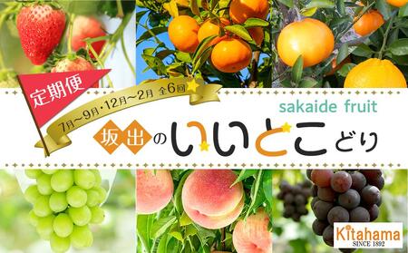 坂出のいいとこどり定期便 【7月・8月・9月・12月・1月・2月】 全6回 |フルーツ 旬 美味しい 新鮮 フルーツ 詰合せ セット フルーツ 人気 フルーツ 厳選 おすすめ フルーツ