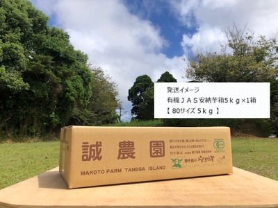 種子島 産 オーガニック (有機) 種子島安納いも (誠農園) 5kg　NFN537 【425pt】 // オーガニック 有機 安納いも 安納芋 有機栽培 さつまいも オーガニック 有機 安納いも 安