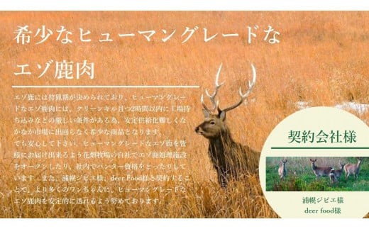 【3回定期便】ヒューマングレードペットフード エゾ鹿肉のミンチ 500g×1個（犬用おやつ）