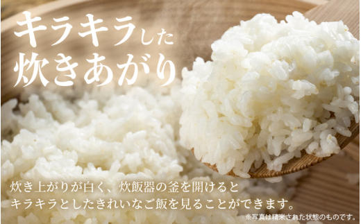 あきさかり 10kg 令和6年 新米 福井県産 コシヒカリ系統品種【玄米】【お米 アキサカリ 10キロ】 [e30-a074]