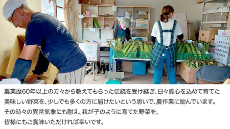 【 朝穫れ 当日出荷 】 訳あり スイートコーン 「 おおもの 」 約5kg 甘い 新鮮 皮付き トウモロコシ とうもろこし コーン 野菜 [DX008ci]