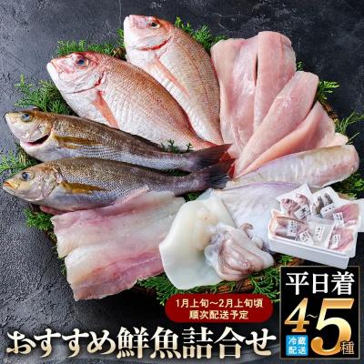 ふるさと納税 境港市 <平日着>おすすめ鮮魚詰め合わせ(4〜5種類)【7〜8月・年末年始配送不可】