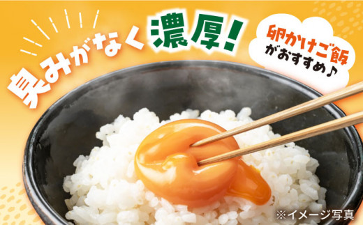 【12回 定期便 】まつもと たまご  40個 （ Lサイズ 10個×4パック） 長崎県産 西海市 たまご 卵 玉子 タマゴ 鶏卵 オムレツ 卵かけご飯 朝食 料理 人気 卵焼き ＜松本養鶏場＞[CC